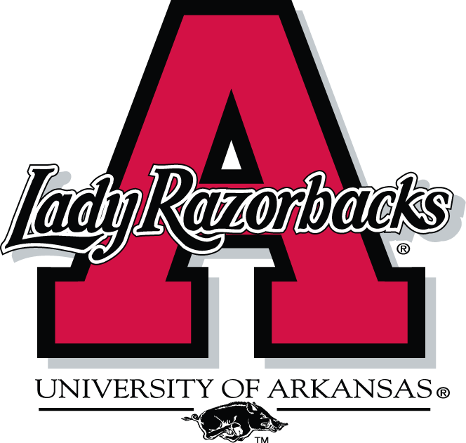 Arkansas Razorbacks 1998-2000 Alternate Logo iron on transfers for fabric